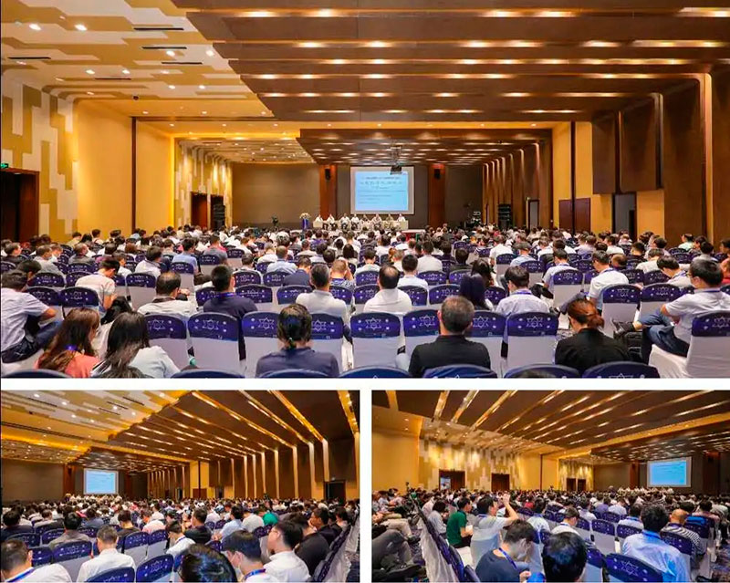 7.webp.jpg 7.webp.jpg